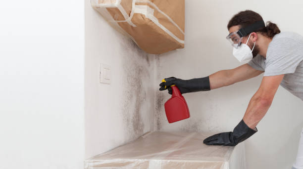 Attic Mold Remediation treatment on roof deck in Spring Run